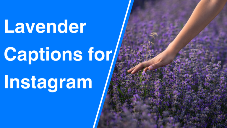 Lavender Captions for Instagram in 2023