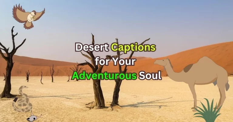 Captivating Desert Captions for Your Adventurous Soul