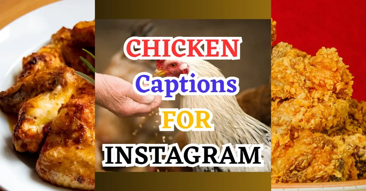 chicken captions and quotes for instagram