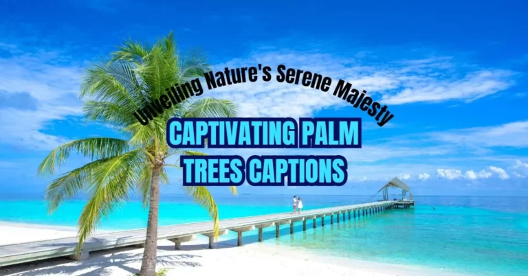 Captivating Palm Trees Caption: Unveiling Nature’s Serene Majesty