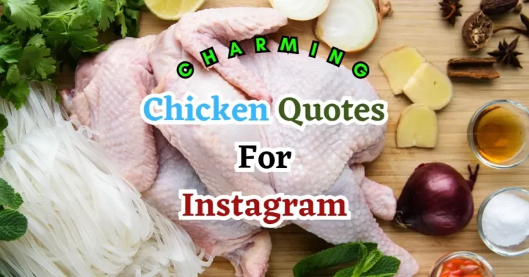 Wing It with Style: The Ultimate Collection of Chicken Quotes for Instagram