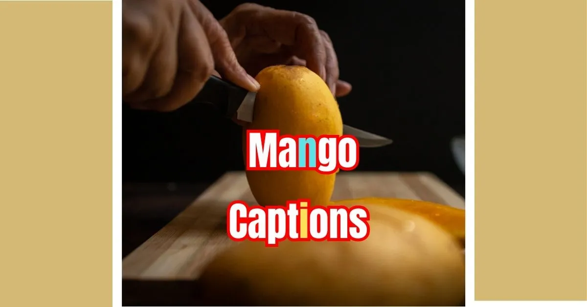 mango captions for instagram