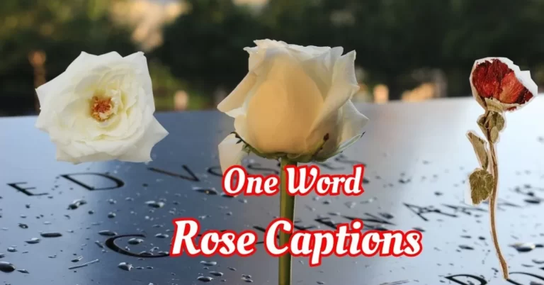 one word rose captions for instagram