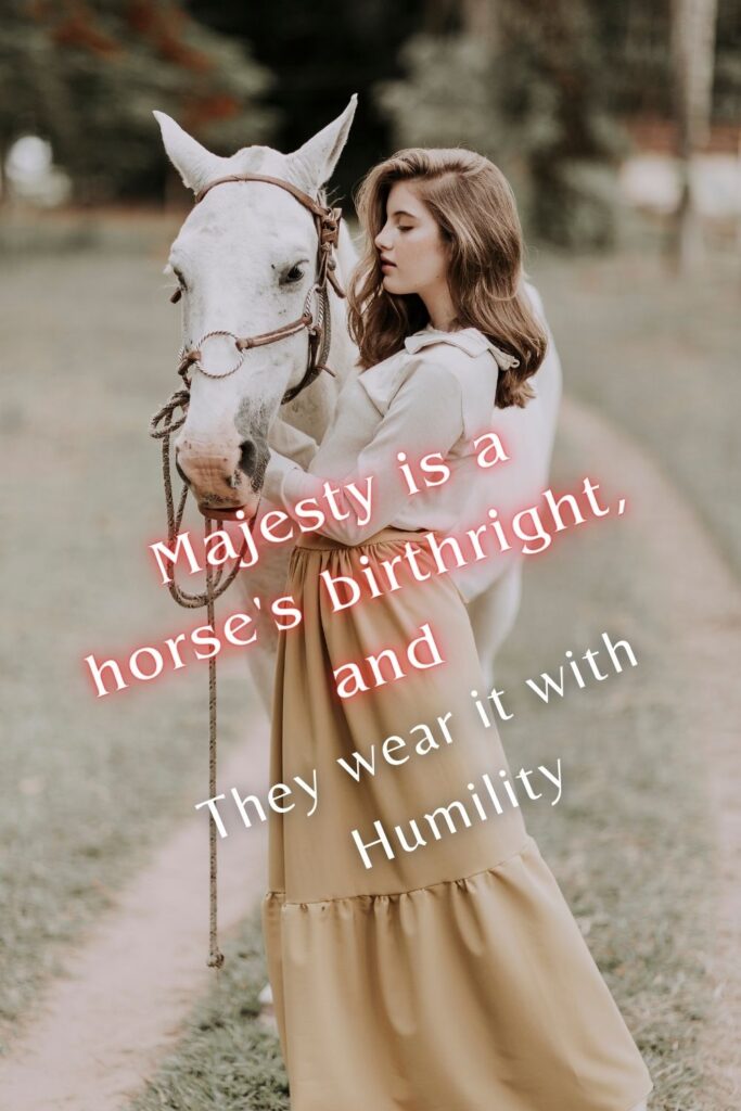 Horse Grace Quotes for istagram 