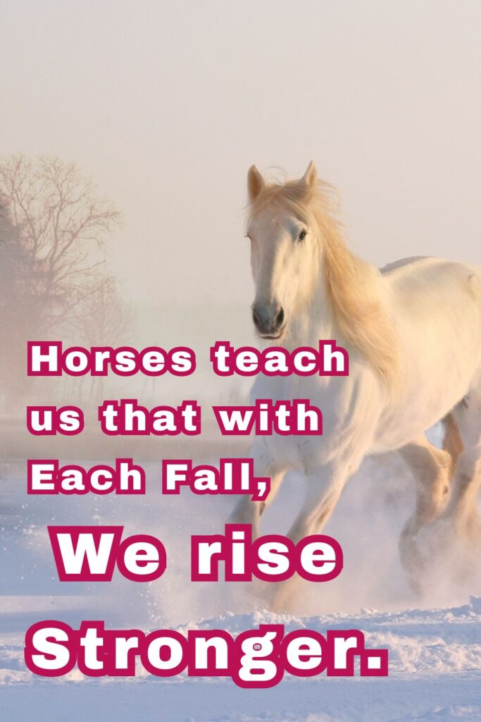 Inspirational Horse Quotes for Instagram