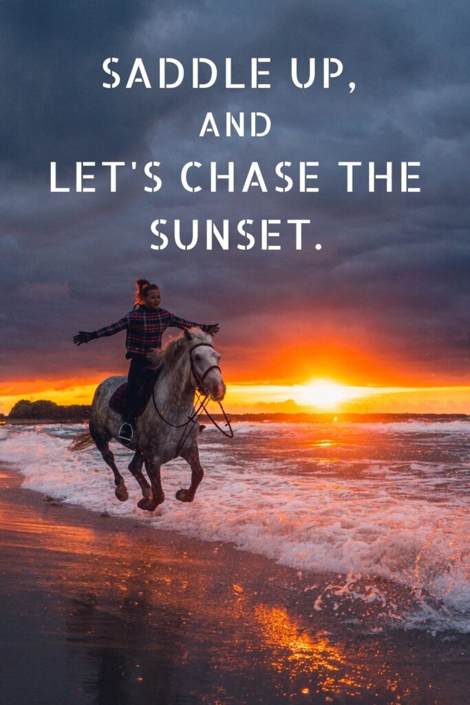 Short and sweet horse captions for instagram: saddle up and let's chase the sunset