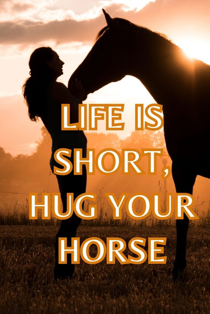 Funny Horse Captions: life is short hug your horse