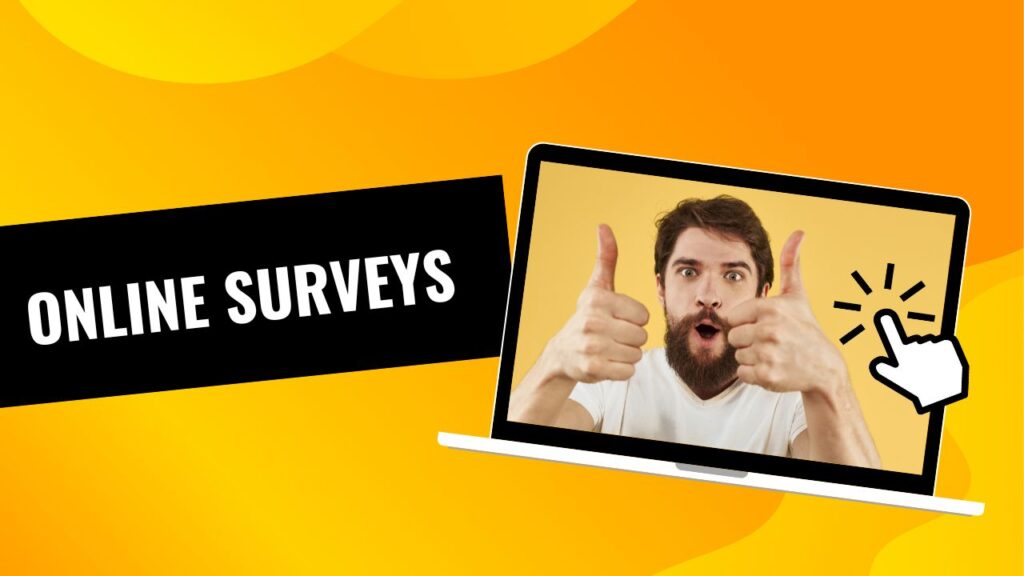 Online Surveys