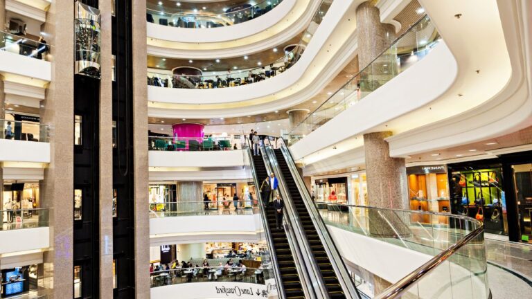 Virtual Malls: The Future of Shopping