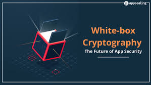 Hacking-Proof: White-Box Cryptography for Ultimate Protection