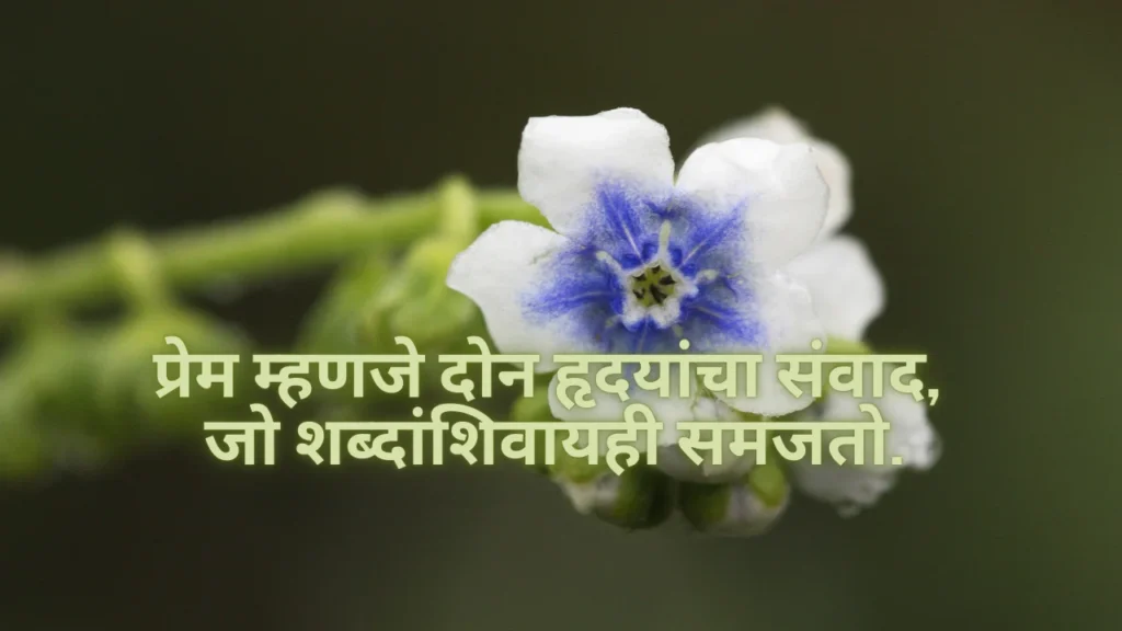 marathi captions for instagram image 7