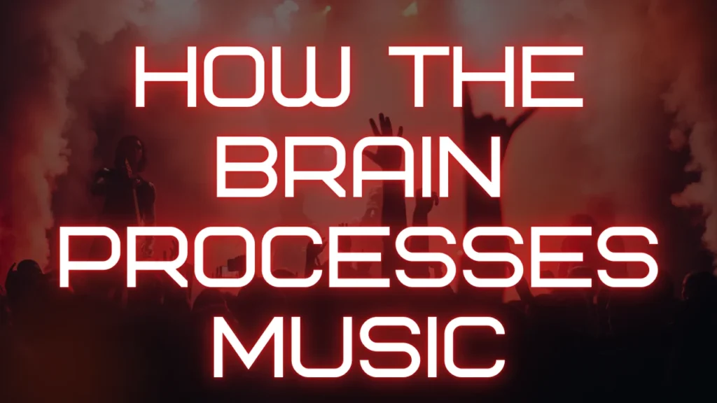 Reelear com and How the Brain Processes Music